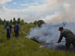 В "Чернобыльской пуще" все еще горит торф