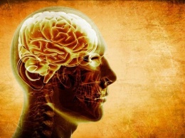 Ученые: Тяжелые депрессии значительно ухудшают память человека