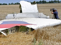 Нидерланды опубликуют отчет о результатах расследования крушения рейса МН-17 в октябре