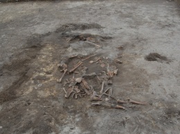В Москве нашли 100-летний скелет