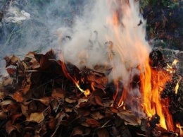 Славянцы, не сжигайте листья в мусорных баках. Чем это опасно