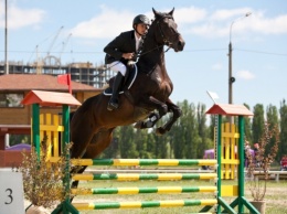 В Киеве проведут лошадиные скачки и забеги борзых