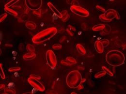 В 2017 году начнутся испытания искусственной крови из стволовых клеток