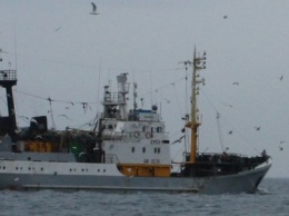 Арестовано рыболовецкое судно за незаконный заход в порты Крыма