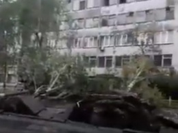 Апокалипсис на Пересыпи: шокирующее видео последствий шторма (ВИДЕО)