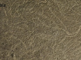 Неизвестные четвероногие. В Испании обнаружили наскальные рисунки, которым 14,5 тысяч лет