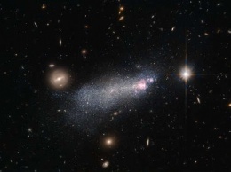 Ученые: Получены снимки звездного скопления-«матрешки» в созвездии Пса