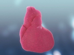 Ученые создали видеотур по бьющемуся сердцу (ВИДЕО)