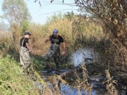 В Киевской области продолжают гореть 7,7 га торфяников