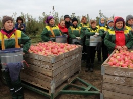 В Крыму аграрии, проявившие инициативу и грамотно оформившие заявки получат государственные субсидии (ФОТО)