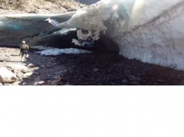 В штате Вашингтон свод ледяной пещеры рухнул на туристов, есть погибшие