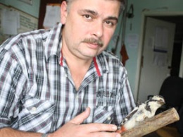 Армянская община: мы не имеем отношения к «Дому трудолюбия»