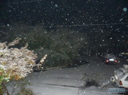 В Одесской области выпал пушистый снег (фото)