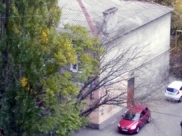 В Одессе на проходе к школе на проводах висит упавшее дерево (ФОТО)
