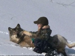 В Бурятии пятилетний ребенок сутки провел в тайге среди волков