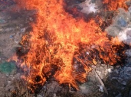 «Все, что нажито браконьерским трудом»: Николаеврыбоохрана сожгла 10 км конфискованных сетей