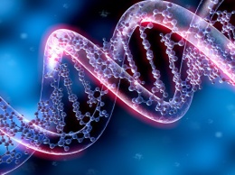 Ученые нашли гены, определяющие размеры семьи и время рождения первенца