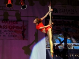 В Кривом Роге спортсмены из всей Украины соревновались в танцах на пилоне (фото)