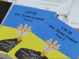 Половина молодежи Донецкой области не считает себя гражданами Украины - данные ЮНИСЕФ шокировали киевских чиновников
