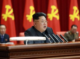 Ким Чен Ын казнил управляющего черепашьей фермы за плохую работу