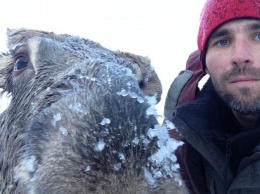 Рыбак спас провалившегося под лед лося в Алтайском крае