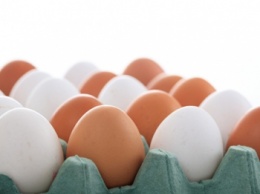 Какие яйца полезнее: с белой или коричневой скорлупой'