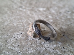 Американец сделал любимой обручальное кольцо из метеорита