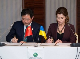 Китай выделил Украине 200 тыс. долларов на развитие инклюзивного образования