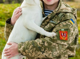 Николаевские волонтеры запустили флешмоб и социальную акцию «Моя собака без породы»