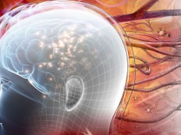 Нейроны, выращенные из стволовых клеток, могут заменить поврежденные области головного мозга