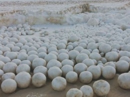 На пляже обнаружили природные снежки, размером с баскетбольные мячи