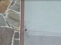 На Киевщине "свободовец" обстрелял дом депутата от "Оппоблока" - СМИ