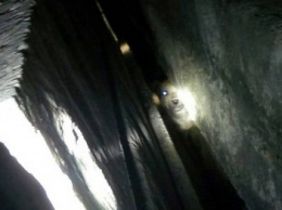 В Северодонецке из-под плит теплотрассы спасатели вызволили собаку