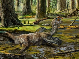 В Китае нашли «возносящегося на небо» динозавра