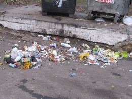 Сотрудники "Умвельта" устроили свалки мусора на придомовых территориях