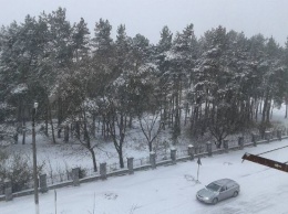 В Украину пришла настоящая зима. В соцсетях делятся "заснеженными" фото