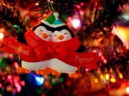 Свято наближається: в Сумах утвердили места продажи елок и новогодних украшений (+список)