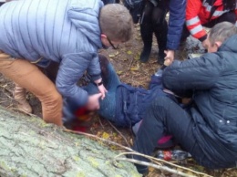 Открытый перелом и ушиб мозга: в Ужгороде на девочку упало дерево