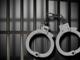 В Перми мужчину осудили на 17 лет за двойное изнасилование детей