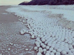На побережье российского Заполярья появились сотни загадочных гигантских снежков