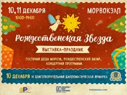 В Одессе пройдет благотворительная предновогодняя ярмарка «Рождественская звезда»