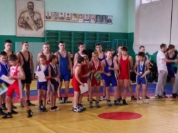 В Енакиево прошел юношеский турнир по вольной борьбе