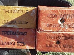 Мариупольцы сдавали взрывные устройства полицейском (ФОТО)