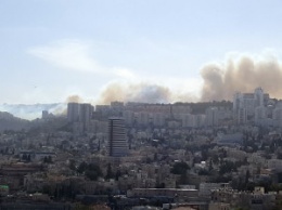В Израиле в Хайфе вспыхнули сильные пожары: 75 тысяч эвакуированных. Власти заявили о поджогах