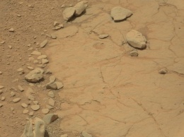 Специалисты NASA обнаружили на Марсе череп динозавра