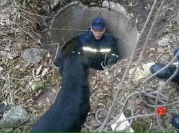 Спасатели достали из двухметрового колодца собаку в Ровенской области