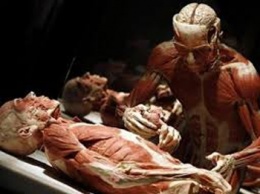 Шокирующие анатомические музеи мира. (видео 18+)