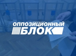 Председатель Славянского райизбиркома: Представители БПП и «Народного фронта» срывают выборы в Николаевке