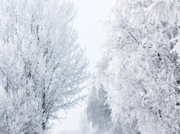 Стало известно, когда в Украине ударят сильные морозы: прогноз на неделю