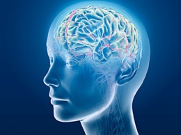 Ученые: Мозг может вспоминать утерянную информацию
